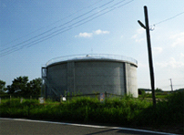 (109)Fc񂪂rƁiʌ^jn@26-4H